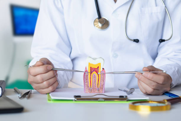 Best Emergency Treatment for Dental Infections or Abscesses in Rodeo, CA